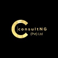 ConsultNG logo